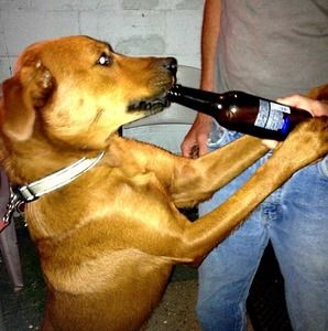 Meet your Posher, Gary